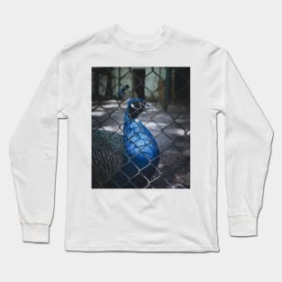 a peacock Long Sleeve T-Shirt